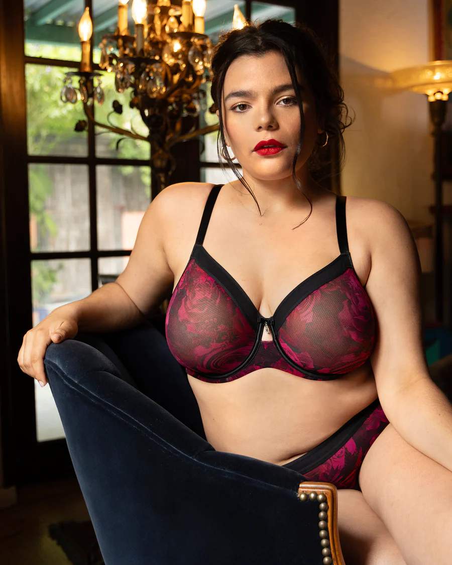 Sheer Mesh Full Coverage Unlined Underwire Bra