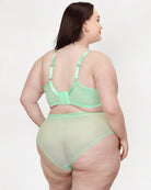 Sheer Mesh Full Coverage Unlined Underwire and Bra Back